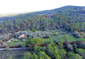 Exceptional Rustic Plot with Building License — photo 2