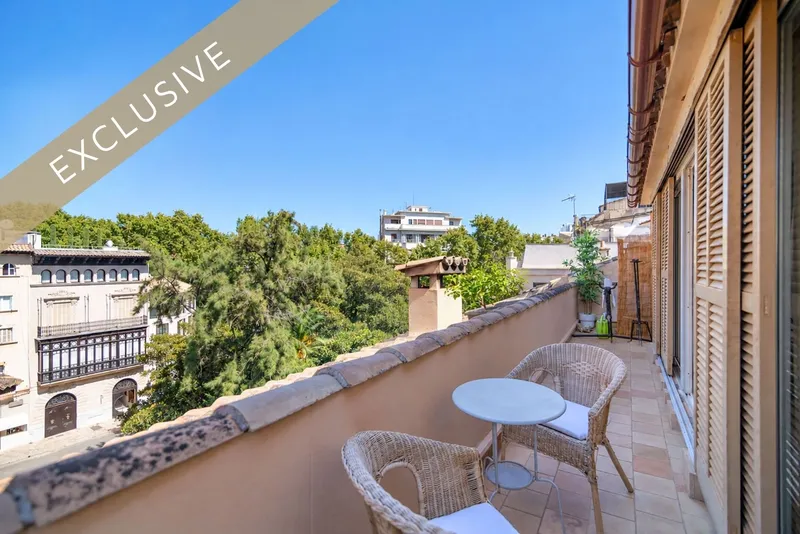 Charming duplex penthouse with a private rooftop terrace in the heart of Palma's Old Town — photo 1
