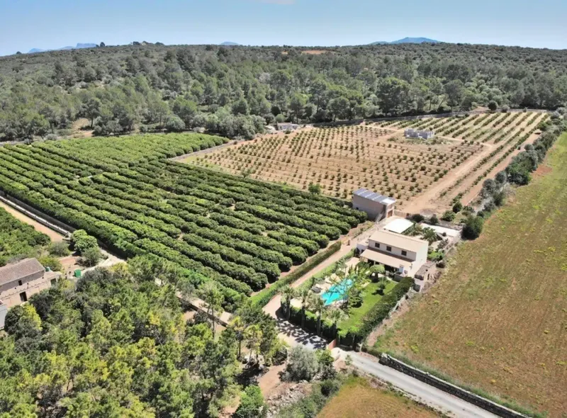 Available for rent from October 1, 2026. Charming country house for long-term rental amidst an orange plantation — photo 3