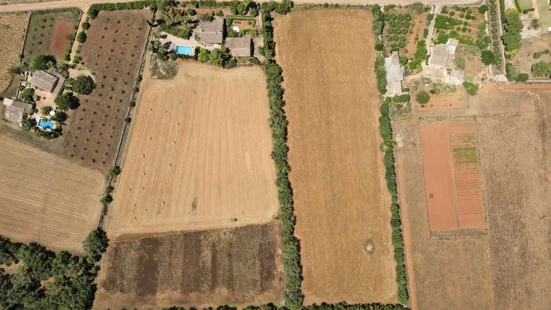 Unique plot of over 17,000 m² – Build your project in Mallorca — photo 3