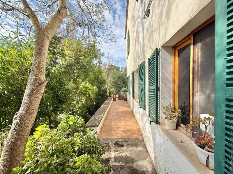 Luxury home in Andratx, Province of Balearic Islands — photo 4