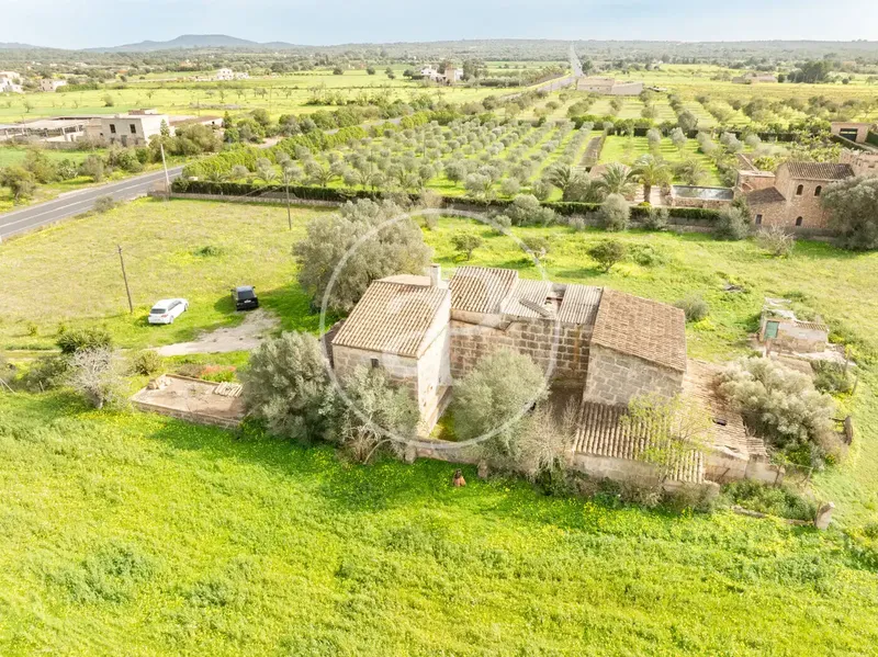 For Sale Rustic Property with Possibility of Full Renovation, Own Well, Electricity and Authentic Mallorcan Character — photo 9