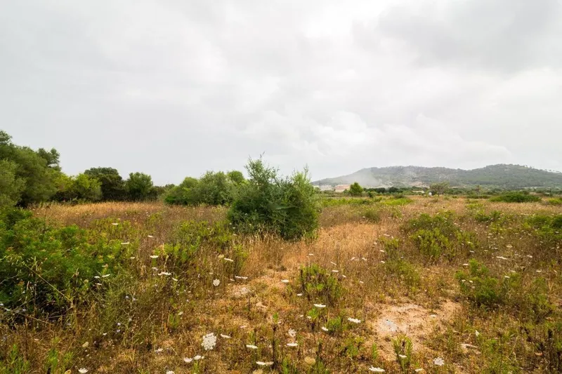 Land in Capdepera, Province of Balearic Islands — photo 9