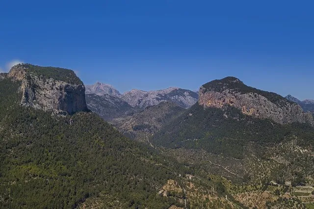 Investment oportunity to reform old finca in the Serra de Tramuntana between Alaro and Orient, Mallorca — photo 12