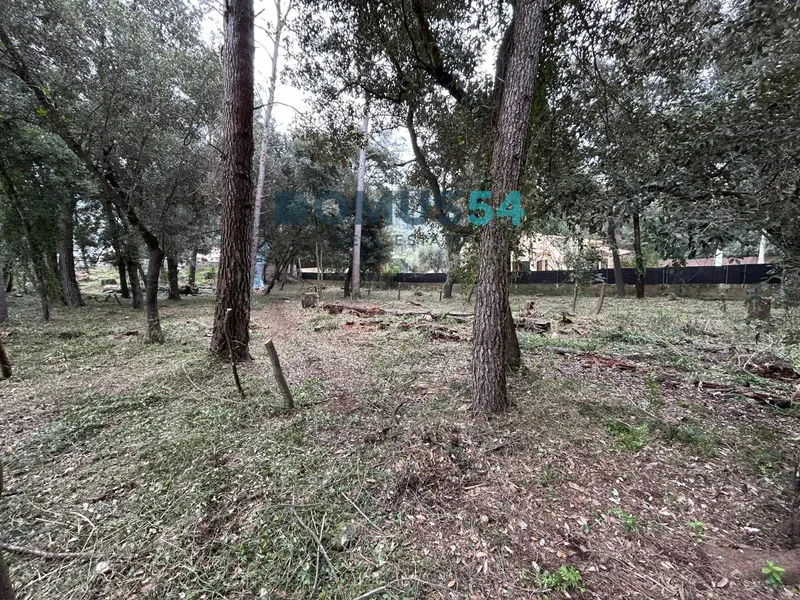 Urban plot in Son Toni Sa Pobla — photo 12