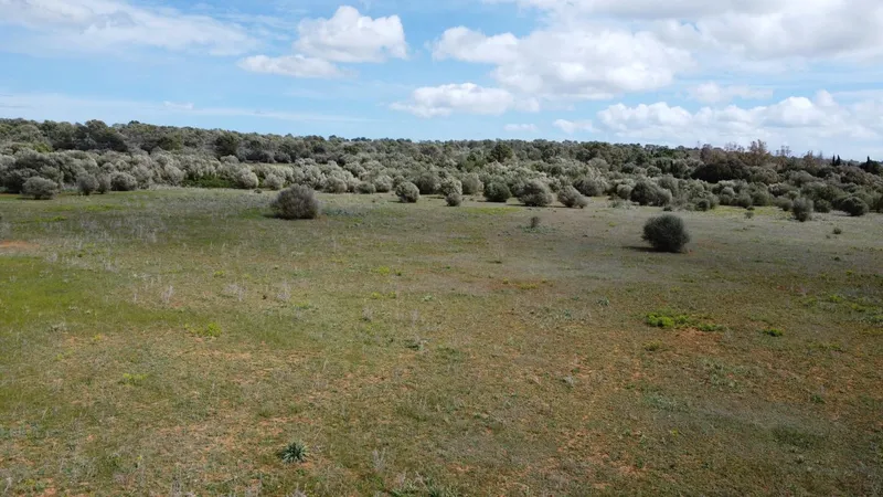 Country Estate for sale in Campos of 62000 m2 — photo 12