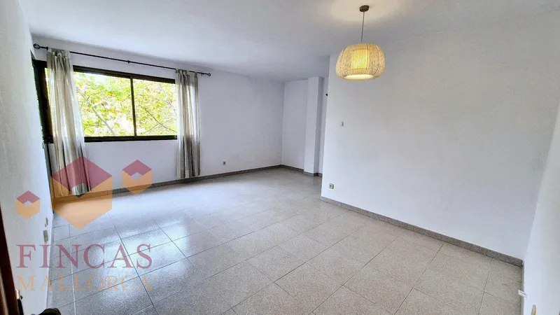 Apartment Carretera Valldemossa – S’Escorxador – NOT AVAILABLE — photo 10