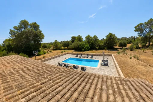 Algaida, spacious finca with guest house, pool and lots of privacy near Algaida — photo 3