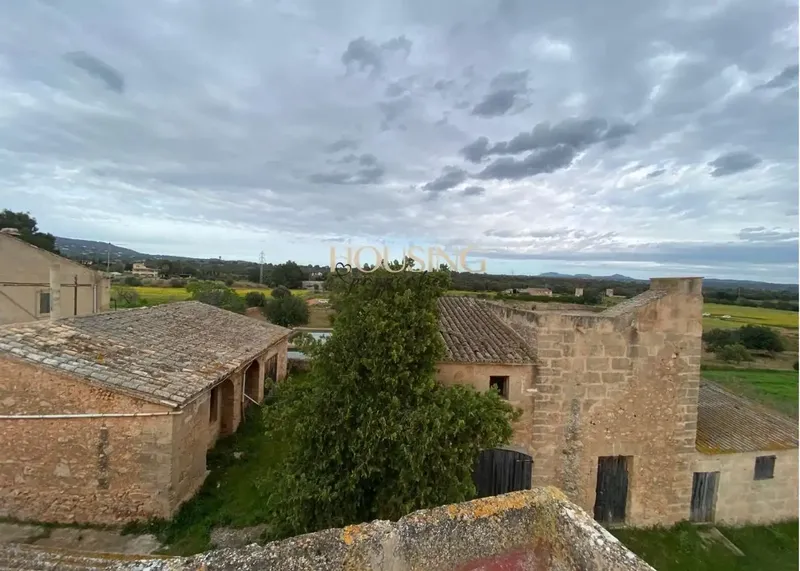 Large Rustic Estate in Sa Casa Blanca Area — photo 6