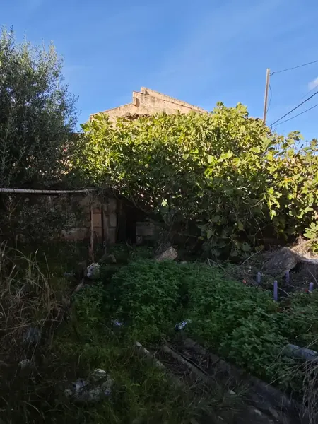 Spectacular village house to renovate in Muro — photo 3