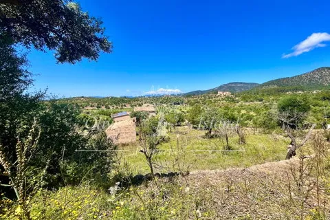 Land in Alaro, Mallorca — photo 10