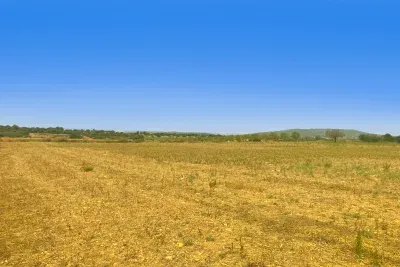 Land for sale in Manacor — photo 7