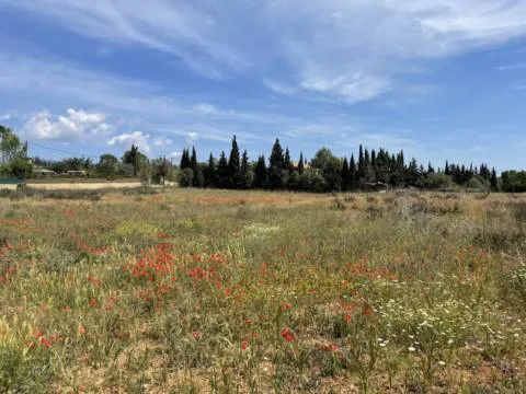 Plot — photo 8