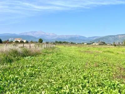 Rustic property - Sa Pobla (Pobla (Sa)), Built Surface 97m², Plot Surface 9153m², 1 Room — photo 2
