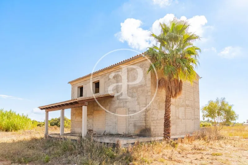 Land in Campanet, Province of Balearic Islands — photo 2