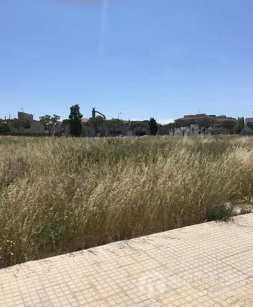 Plot — photo 9