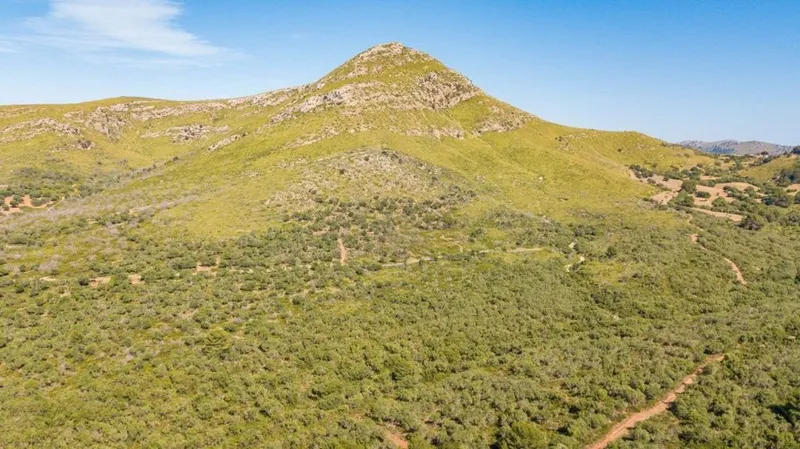 Rural or Farmhouse in Artà, Province of Balearic Islands — photo 9