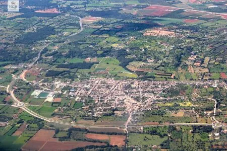 Rural Land - Llubí (Llubi), Plot Surface 3500m², Distance to the sea 15 Km. — photo 9