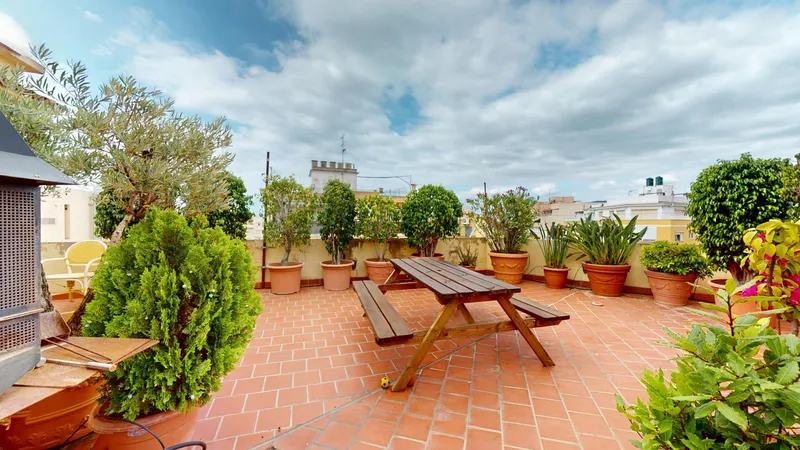 Bright penthouse with large terrace next to Paseo Mallorca — photo 9
