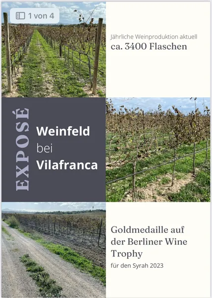 Cultivated vineyard for sale near Vilafranca, SL can be purchased as well — photo 4