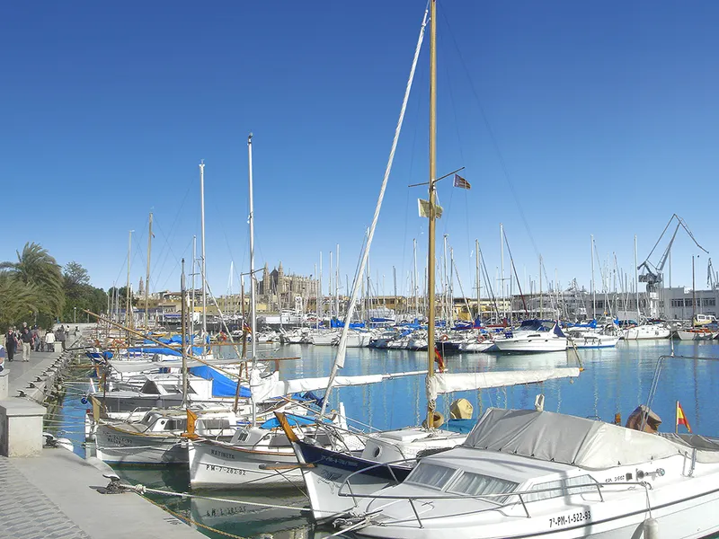 Commercial space in an exclusive new-build residence in the heart of Palma — photo 4