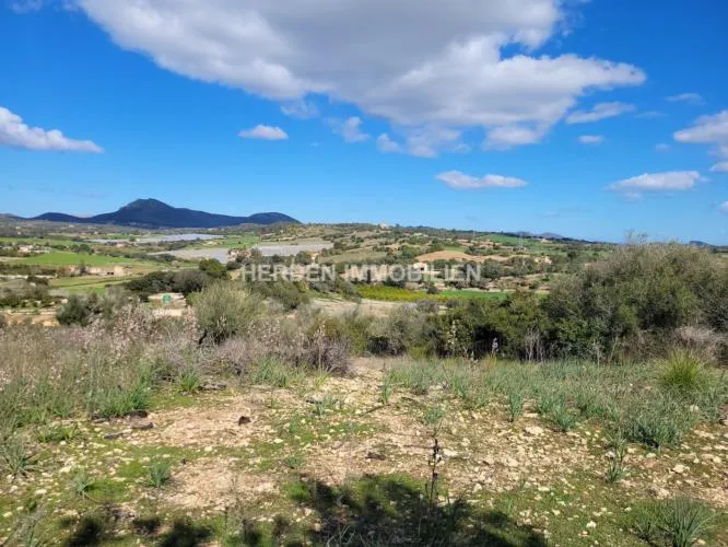 Building Plot for Sale in Manacor, Mallorca — photo 3