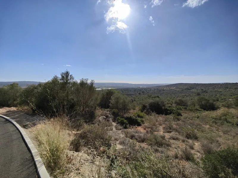 Plot with sea views in Palma — photo 12
