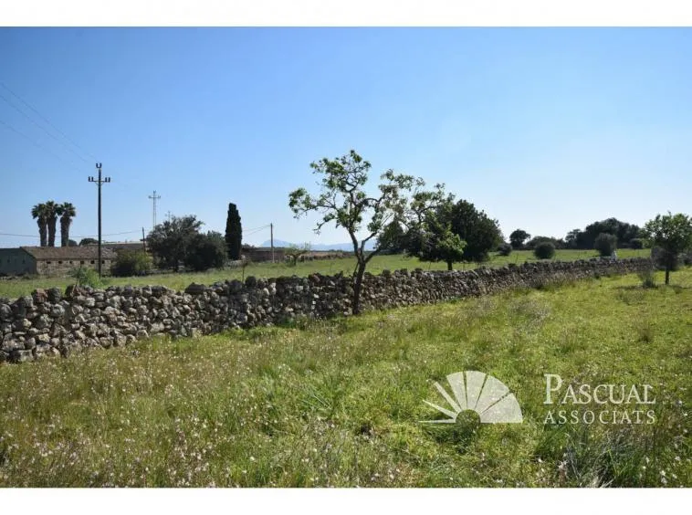 Finca with sea views and approved project in Santa Margalida — photo 10