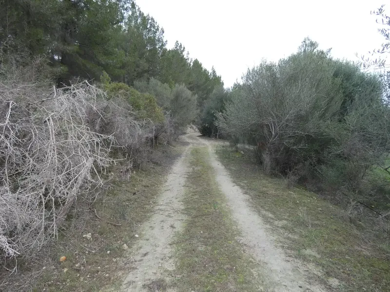 Rustic estate of 25,281 m² for sale with a 99 m² building to renovate, built before 1956 but in good condition — photo 3