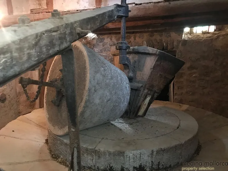 Rustic finca in Deià — photo 12