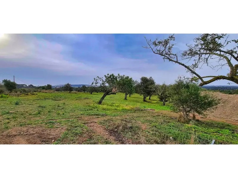 In the Bellavista area, very close to Cala Millor, on a plot of 14110 m2 we offer you this new project: a finca of a superf — photo 8