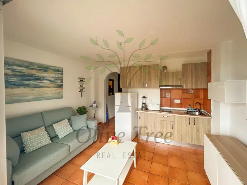 Charming apartment for winter seasonal rental — photo 1