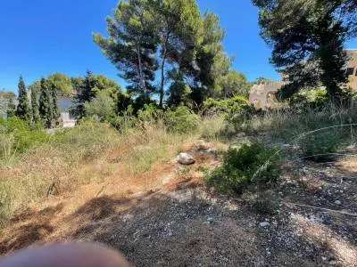 Rural land in Santa Margalida, plot surface 25,574.5 m² — photo 10