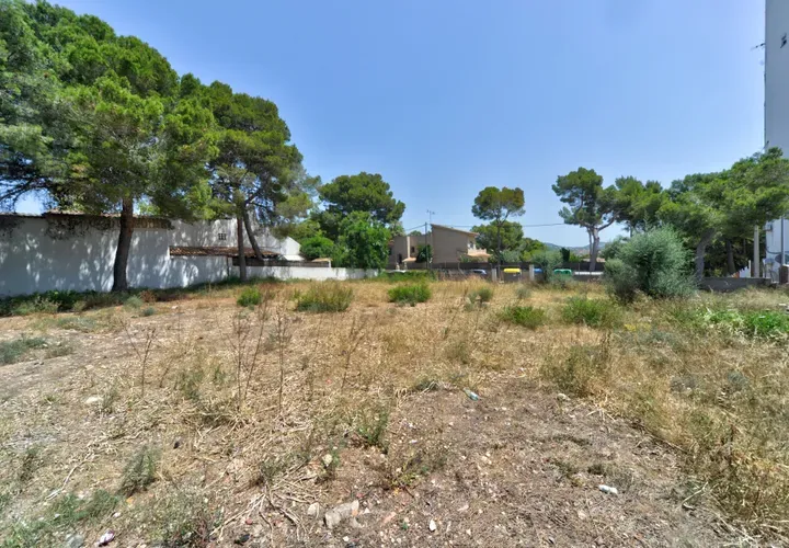 Land in Palmanova, Mallorca — photo 11