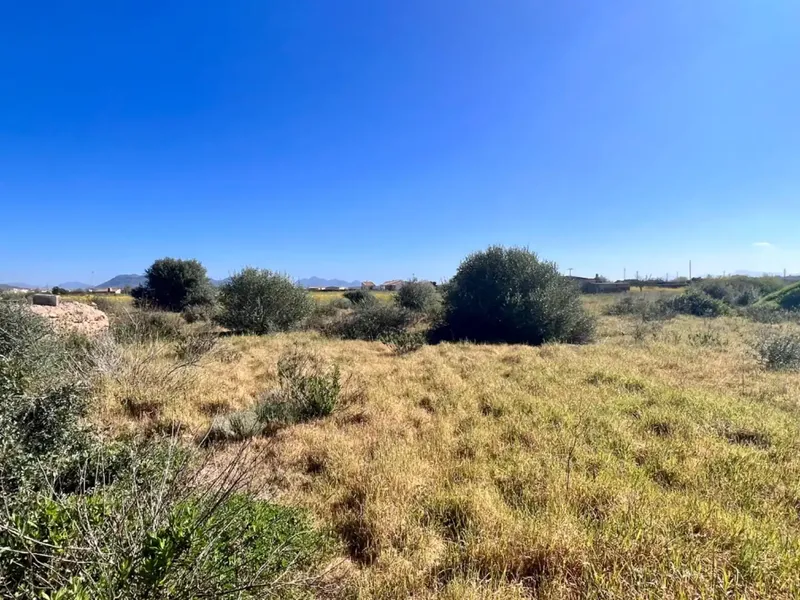 Rustic estate between Sa Pobla and Muro, with over 21,700 m2 of land and several constructions, one of them a large safareig and the other a — photo 8
