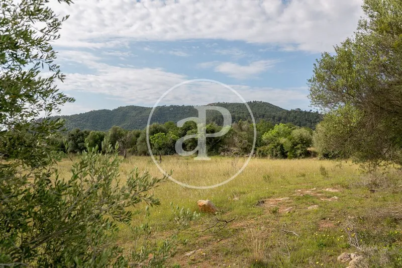 Land in Artà, Province of Balearic Islands — photo 7