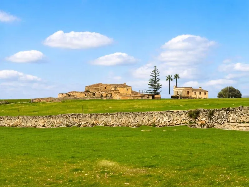 Rural or farmhouse in Manacor, Province of Balearic Islands — photo 1