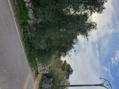 Urban Plot of Land - Marratxí (Sant Marçal), Plot Surface 989.47 m², Distance to the Sea 9 km, Urbanization — photo 4