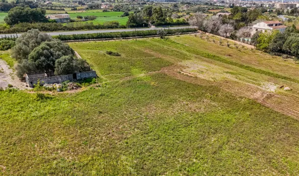 Building plot with license and fantastic views in Manacor — photo 10