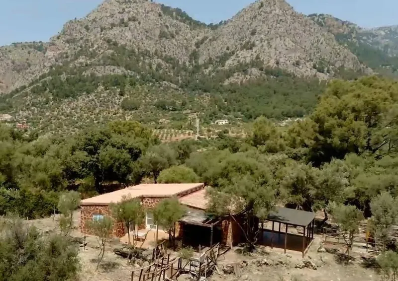Rural or Farmhouse in Bunyola, Province of Balearic Islands — photo 8