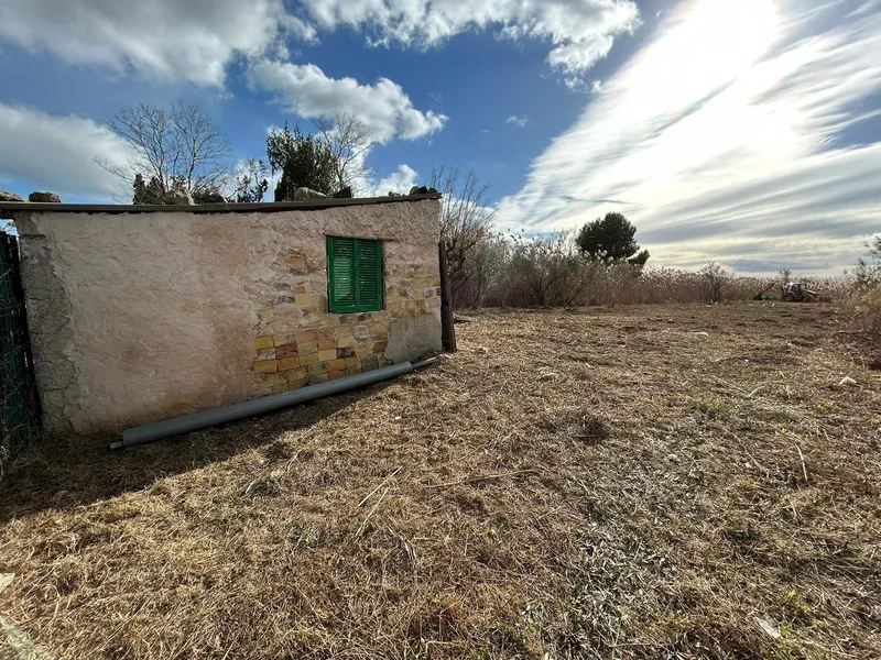 Rustic plot in Sa Pobla — photo 8
