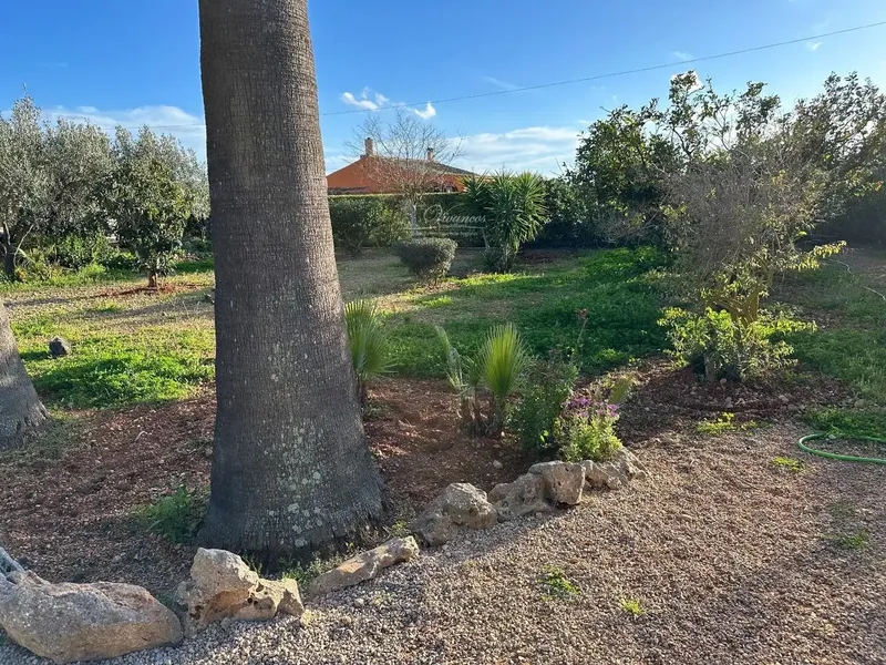 Beautiful rustic property in Sencelles with 3550 m² of land and 120 m² house — photo 2