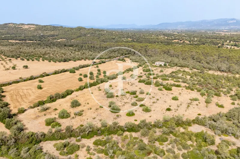 Exceptional Rustic Estate with Endless Possibilities for Sale in Sineu — photo 1