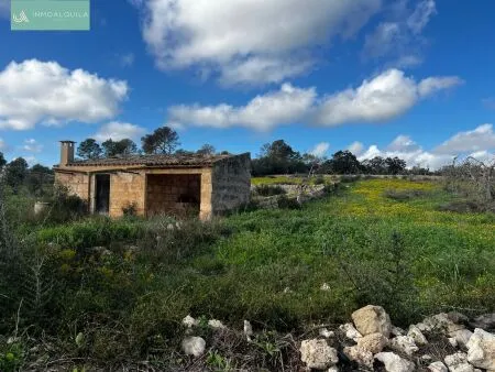 Plot of land - Llubí (Llubi), Plot Surface 14516m² — photo 3