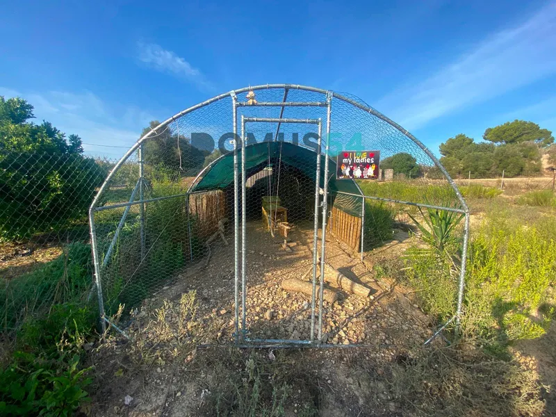 Rustic land not buildable in Maria de la Salut — photo 3