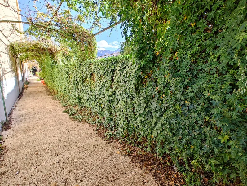 Historic Manor House for Sale in the Heart of Sóller — photo 10