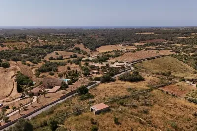 Building Plot in Manacor — photo 3