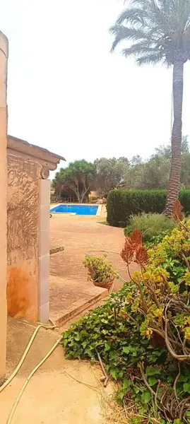 Agrotourism for Sale: A Rustic Paradise of over 420,000m2 with History — photo 5