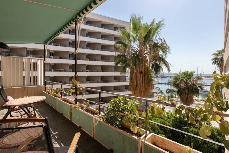 Paseo Maritimo, Palma — photo 6