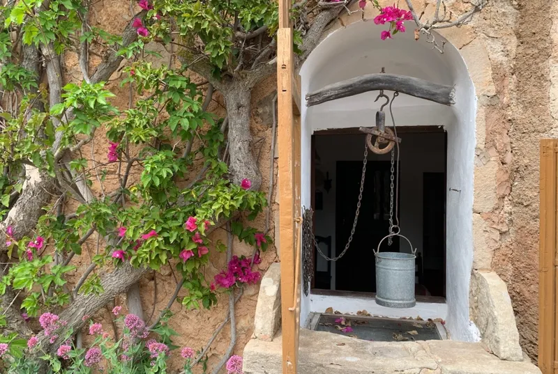 Old windmill in S'Horta — photo 11